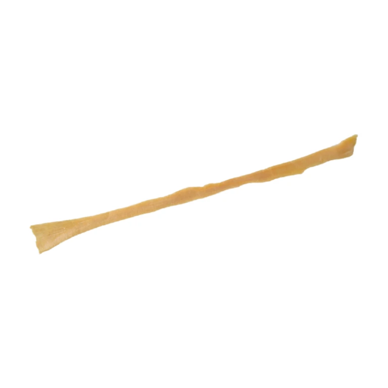 Semitendinosus Tendon (Single
Strand)