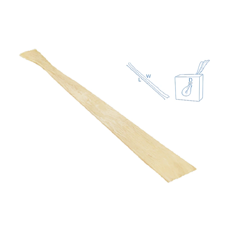 Tibialis Tendon, Anterior