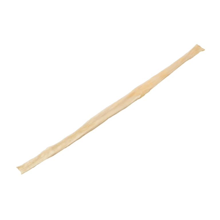 Tibialis Tendon, Posterior (Single
Strand)