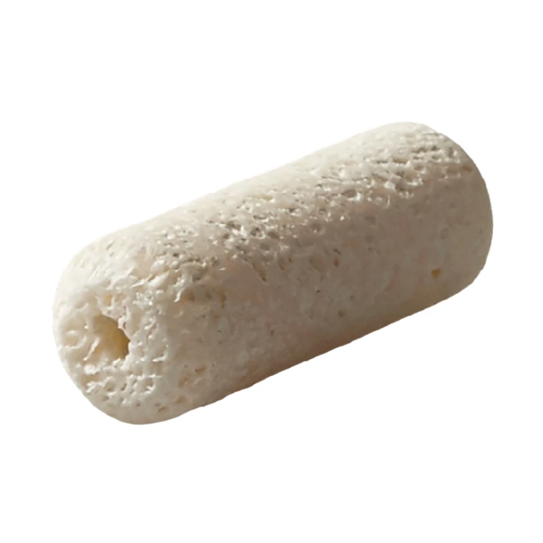 Cannulated Revision Dowel